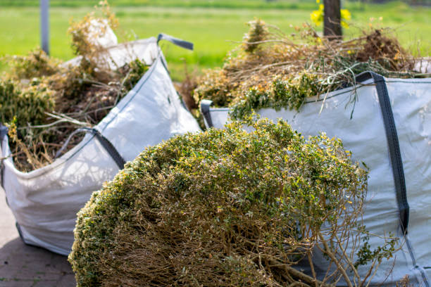 Yard Cleanup Services in Clatskanie, OR